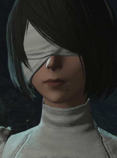 NieR: Automata Being in FFXIV Is So Surreal