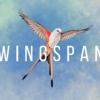 Wingspan’s Switch Port Is Gorgeous to Look at But Tough to Learn