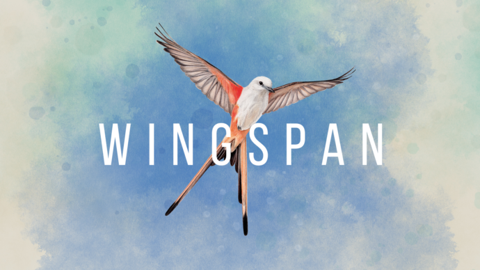 Wingspan’s Switch Port Is Gorgeous to Look at But Tough to Learn